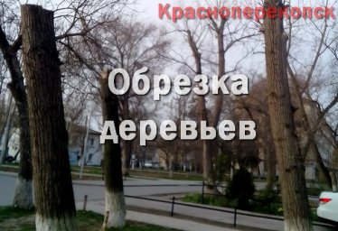 Обрезка деревьев в Красноперекопске Обрезка деревьев в Красноперекопске