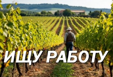 Ищу работу на поле Ищу работу на поле