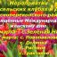 Концерты посвящённые Международному дню 8 марта в Красноперекопском районе