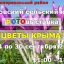 Рисовский сельский клуб, с 24.09 фотовыставка - Цветы Крыма