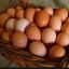 Домашние куриные яйца в Красноперекопске