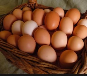 Домашние куриные яйца в Красноперекопске