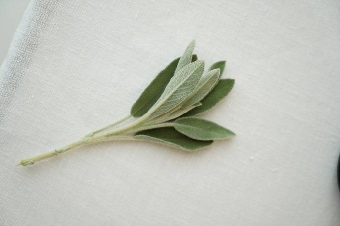 Барный остров на 16 посадочных мест стал центром внимания в интерьере ресторана Sage с кухней в авторском исполнении