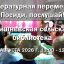 Литературная переменка в Вишнёвской сельской библиотеке 11.08.2026