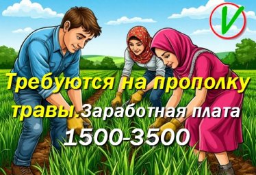 Требуются люди на прополку травы.