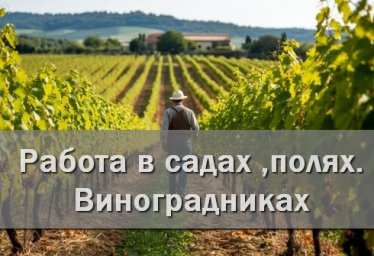 Работа в садах ,полях. Виноградниках (Армянск Красноперекопск)